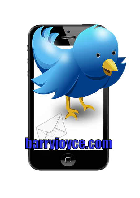 Social Media Marketing - With Twitter